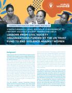 UNTF brief on law and policy cover image